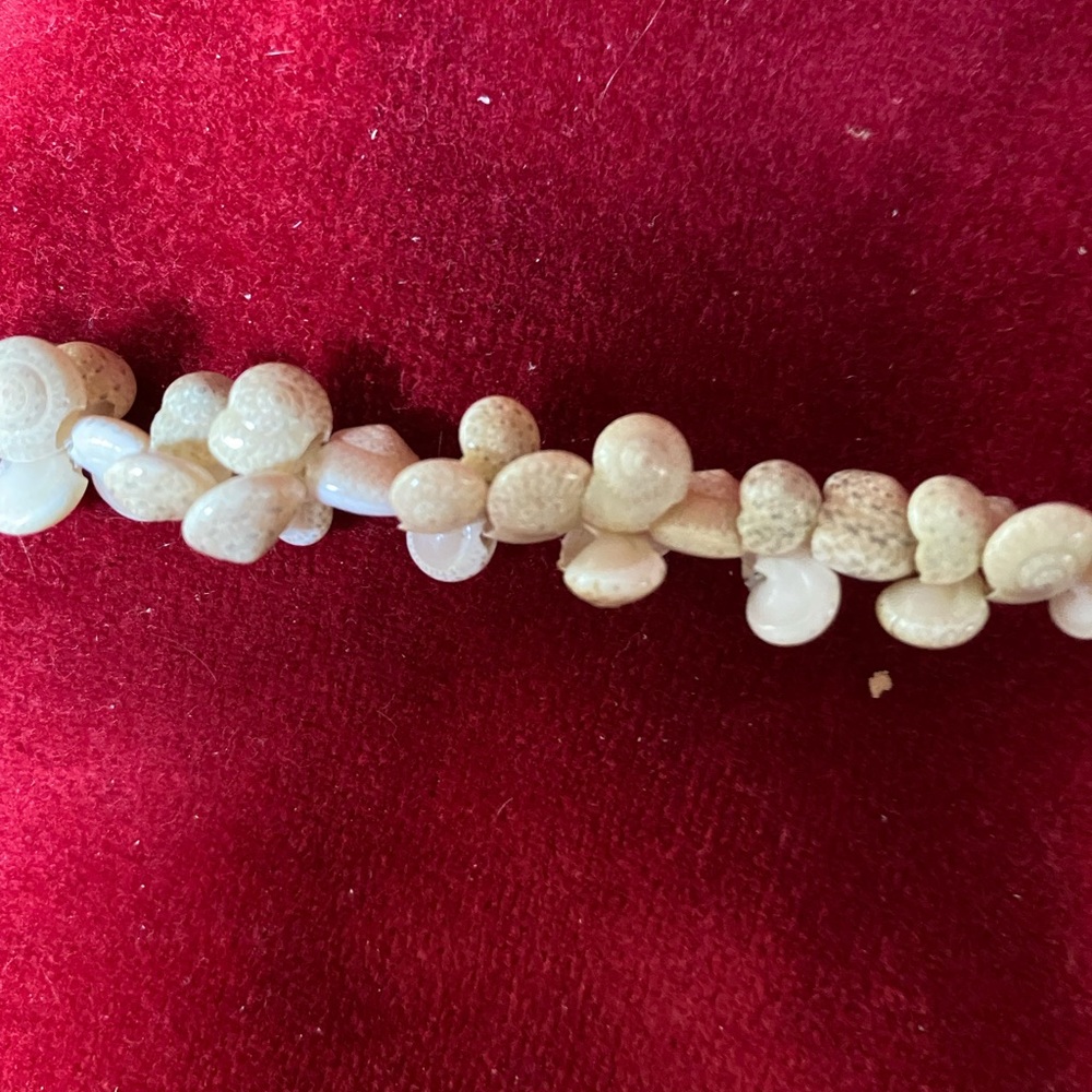 Shell necklace - Picture 3 of 6